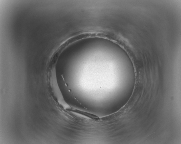 X0000073851352200608311950