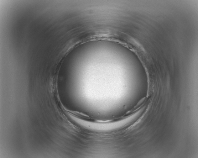 X0000073851353200608311950