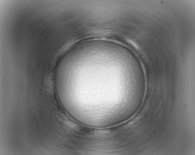 X0000073851354200608311950