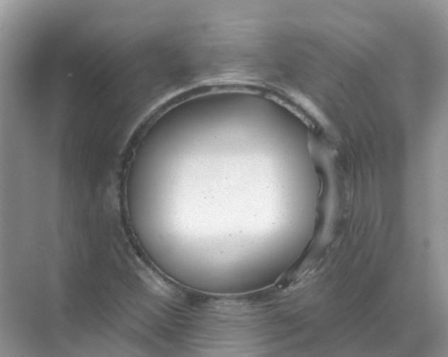 X0000073851356200608311950