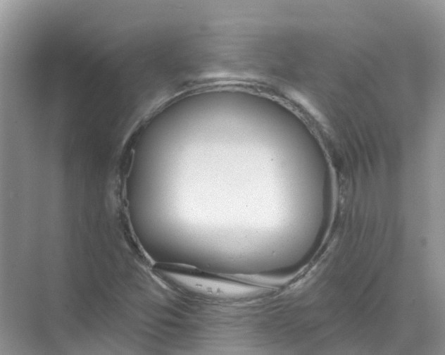 X0000073851357200608311950