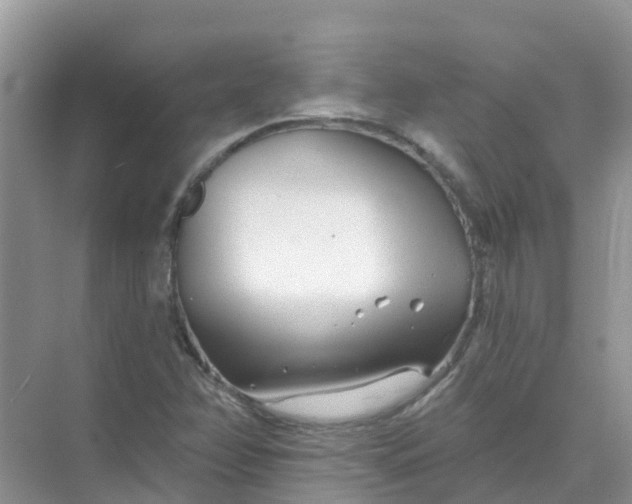 X0000073851358200608311950