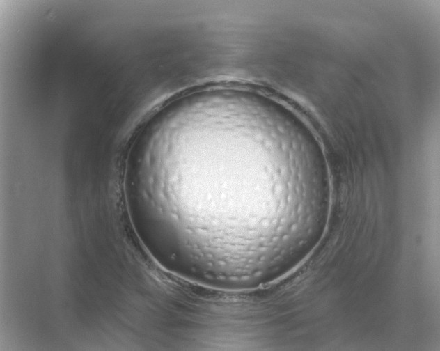 X0000073851359200608311950