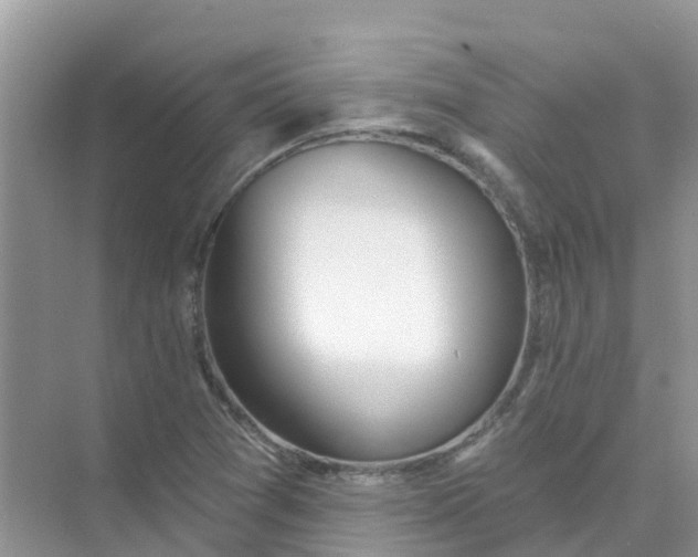 X0000073851361200608311950