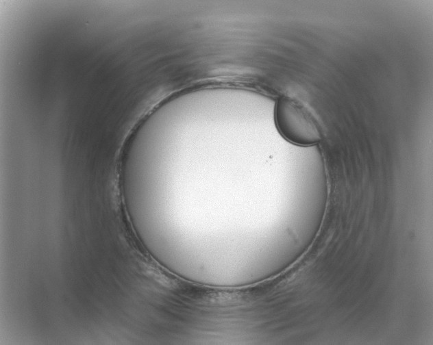 X0000073851362200608311950