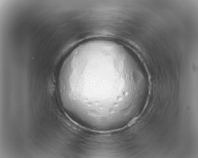 X0000073851363200608311950