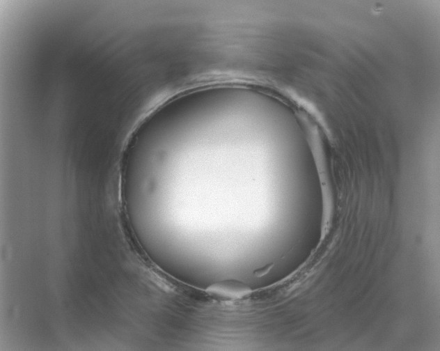 X0000073851365200608311950