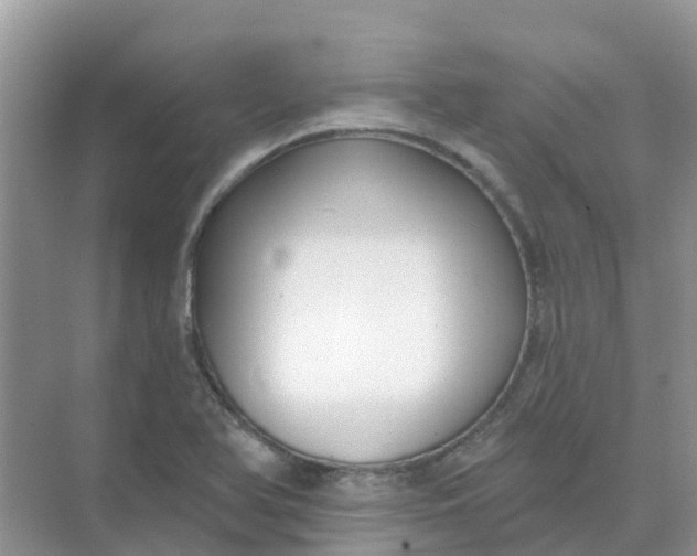 X0000073851366200608311949