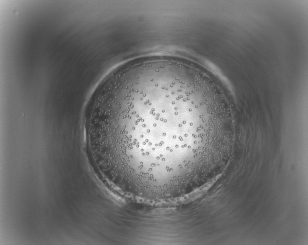 X0000073851368200608311949