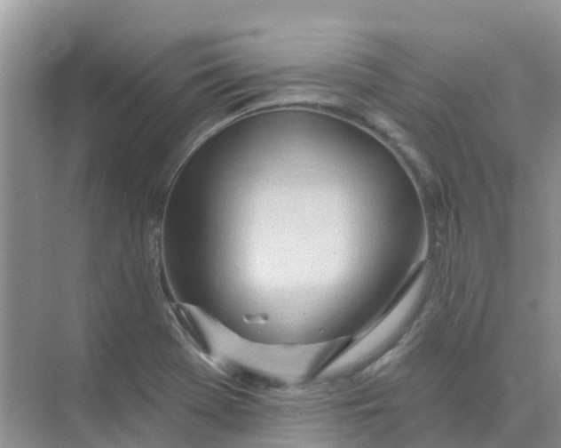 X0000073851369200608311949