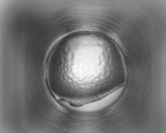 X0000073851371200608311949