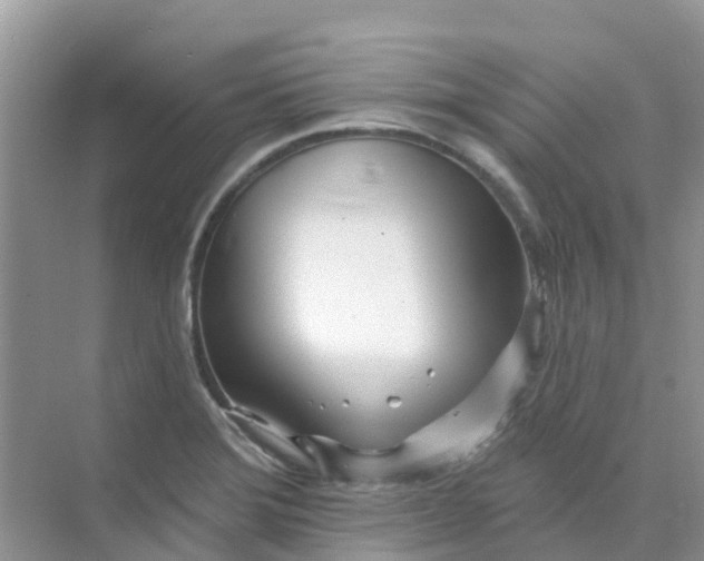 X0000073851372200608311949