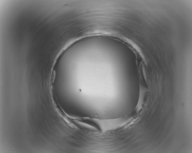 X0000073851373200608311949