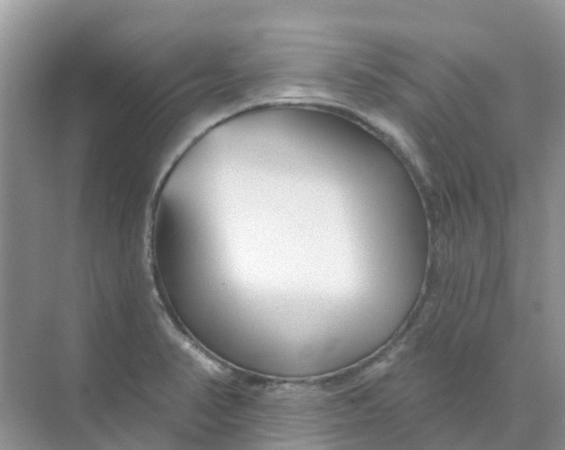 X0000073851374200608311949