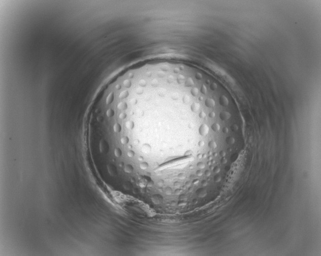 X0000073851375200608311949