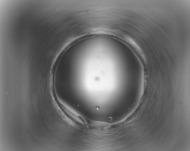 X0000073851376200608311949