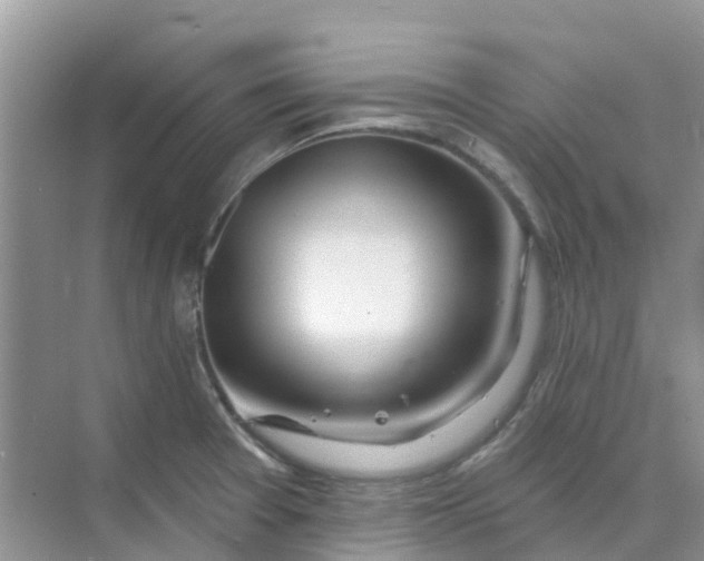 X0000073851377200608311949