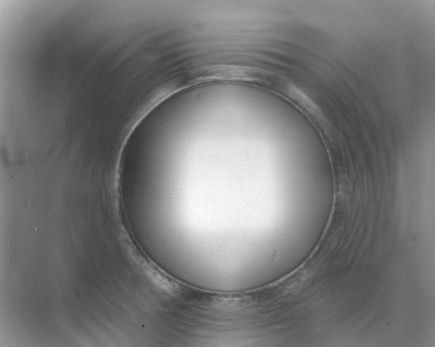 X0000073851378200608311949