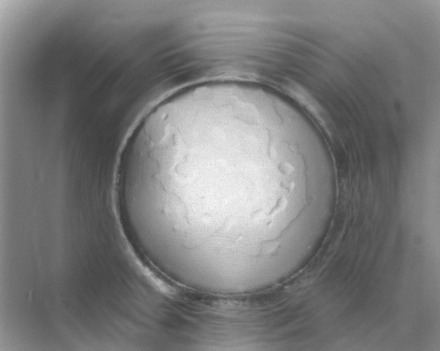 X0000073851379200608311949