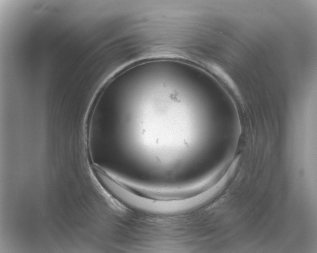 X0000073851380200608311949