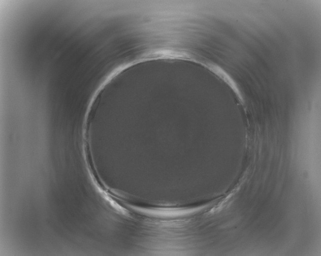 X0000073851381200608311949