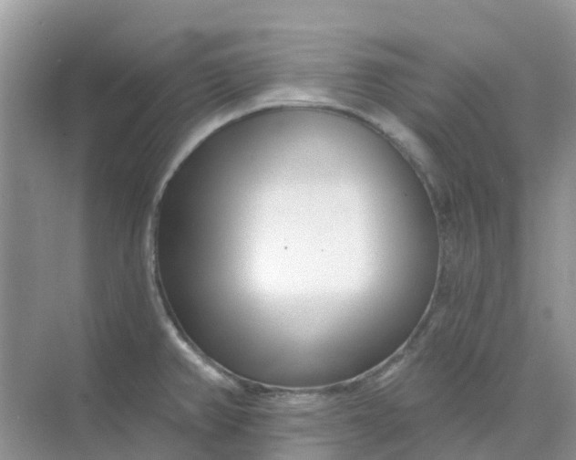 X0000073851382200608311949