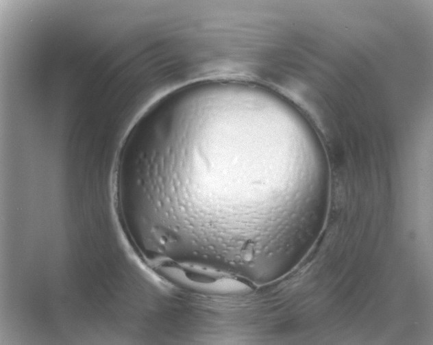 X0000073851383200608311949