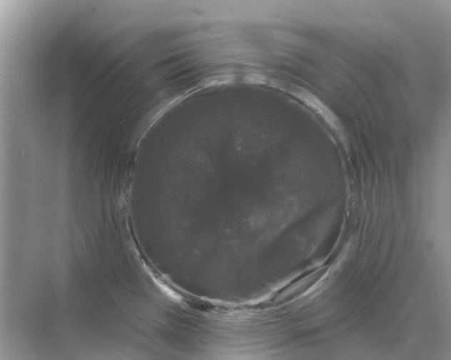 X0000073851385200608311949