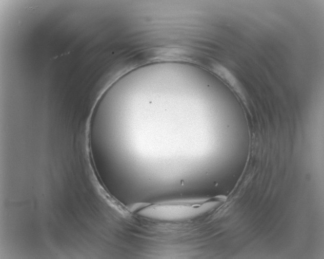 X0000073851386200608311949