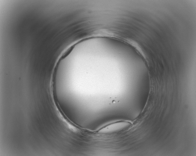 X0000073851387200608311949