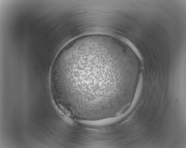 X0000073851388200608311949