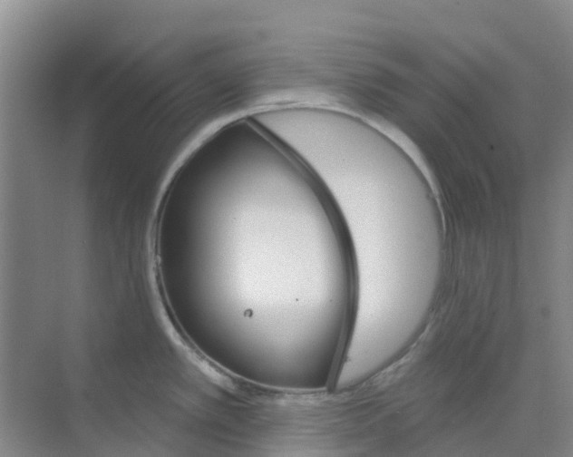 X0000073851389200608311949