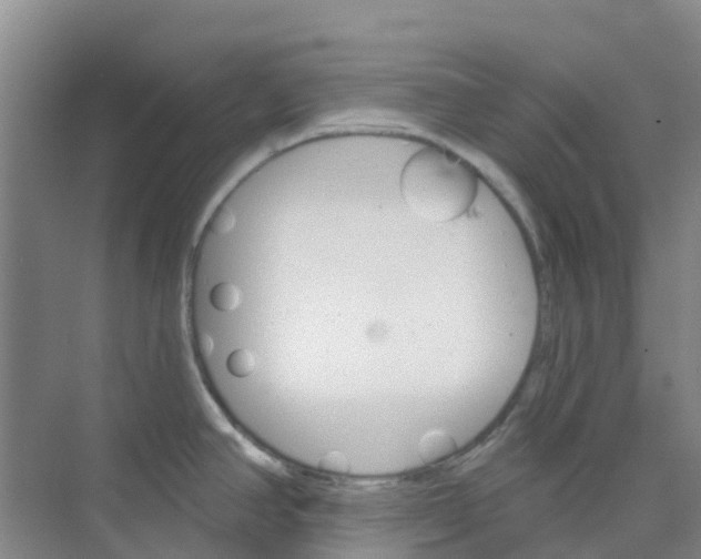 X0000073851390200608311949