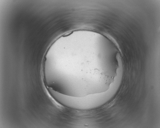 X0000073851391200608311949