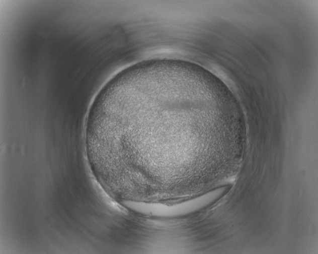 X0000073851392200608311949