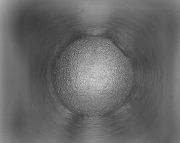 X0000073851393200608311948