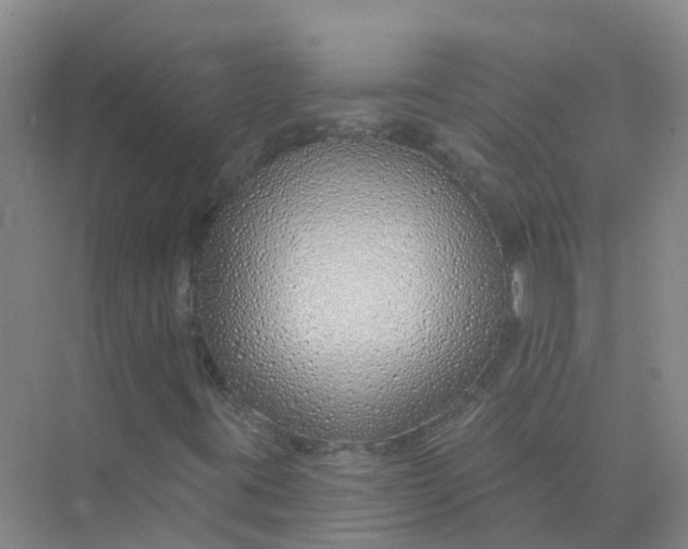 X0000073851395200608311948