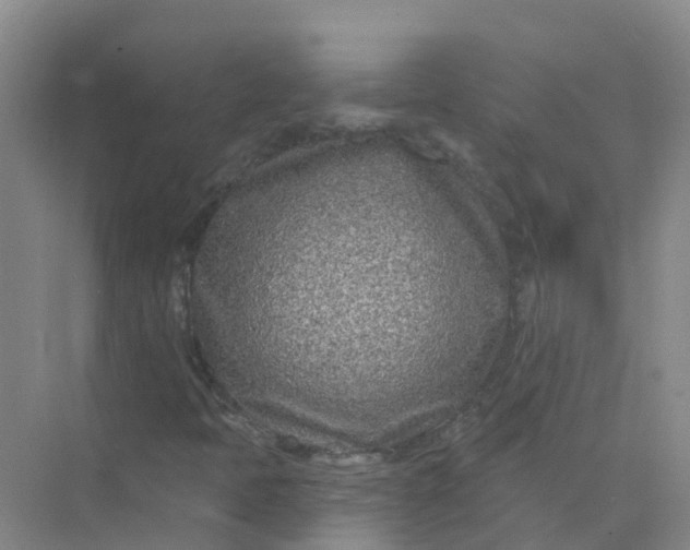 X0000073851397200608311948