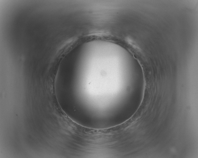 X0000073851398200608311948