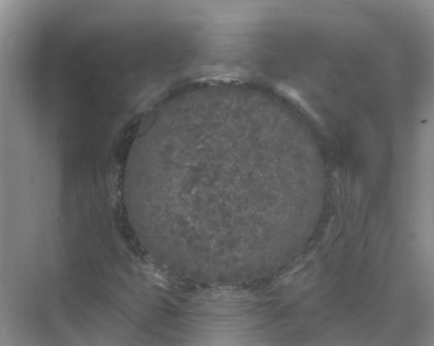 X0000073851399200608311948