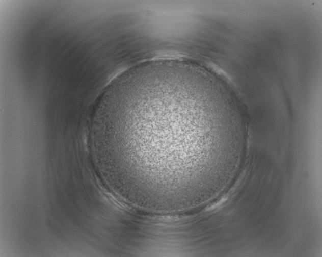 X0000073851401200608311948