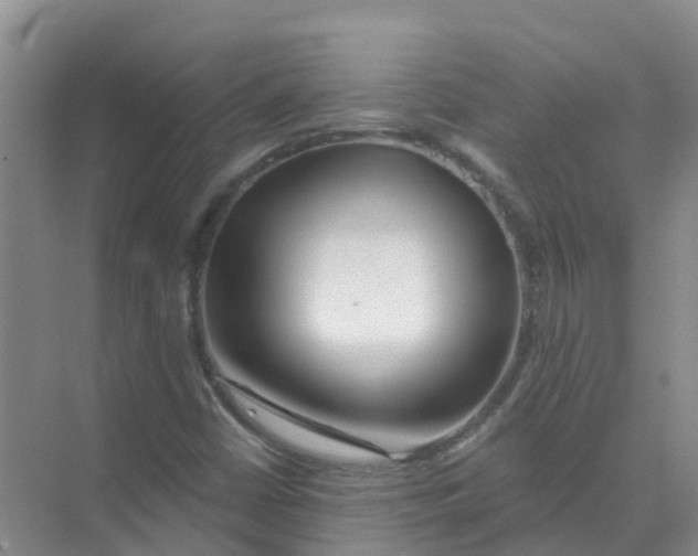 X0000073851402200608311948