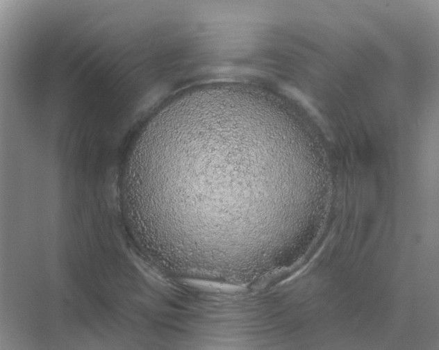 X0000073851403200608311948