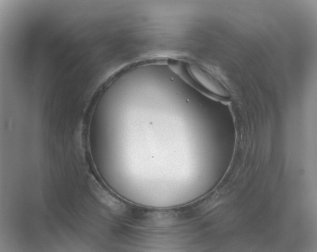 X0000073851404200608311948