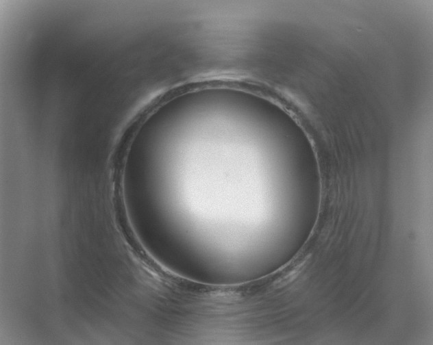 X0000073851406200608311948