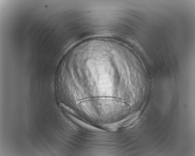 X0000073851409200608311949