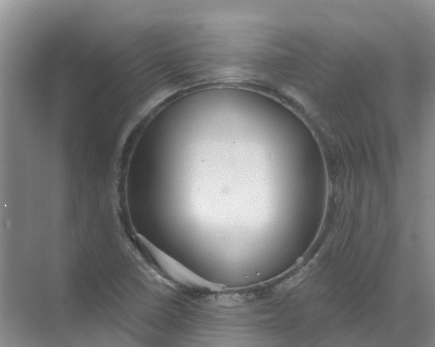 X0000073851410200608311949