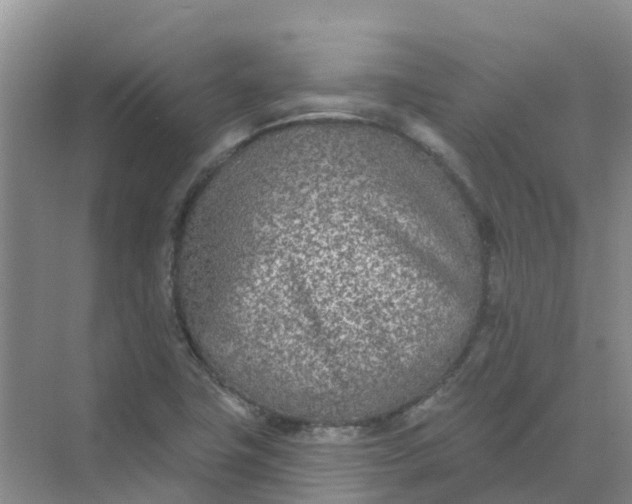 X0000073851411200608311949