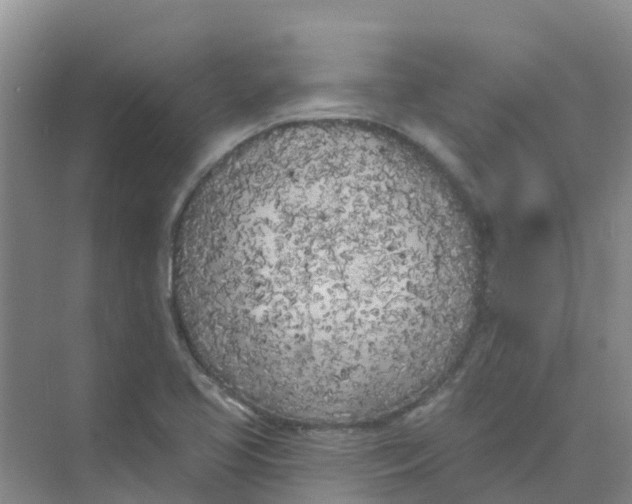 X0000073851413200608311949