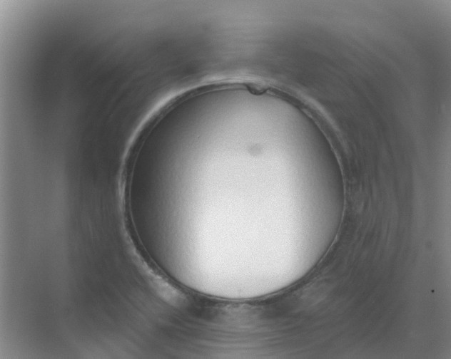 X0000073851416200608311949